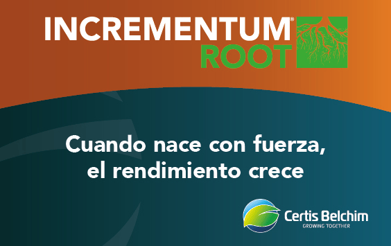 incrementum root