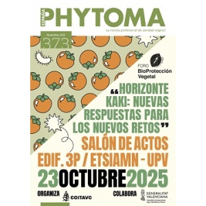 373 - NOVIEMBRE 2025