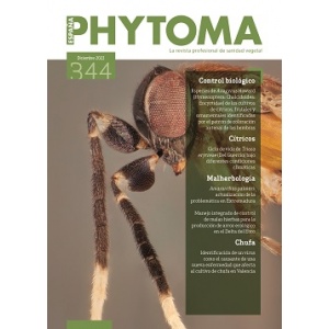 344 - DICIEMBRE 2022