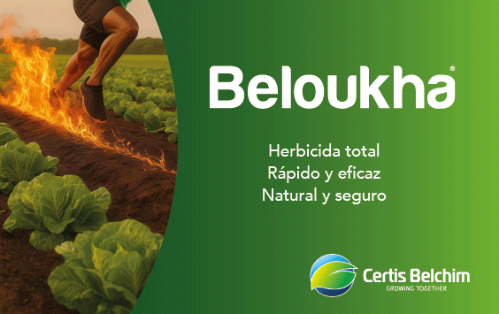 CERTOSBELCHIM