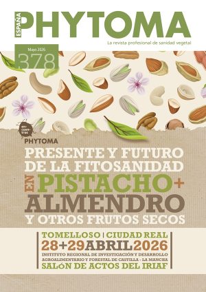 378 - MAYO 2026