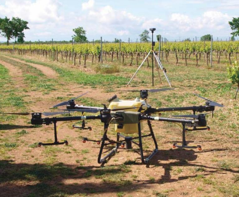 Ensayo de aplicación aérea de feromona líquida en viña para la confusión sexual de polilla del racimo (Lobesia botrana) mediante dron