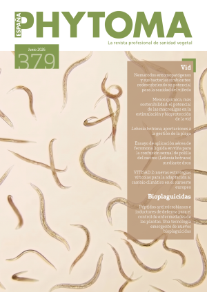 379 - JUNIO 2026