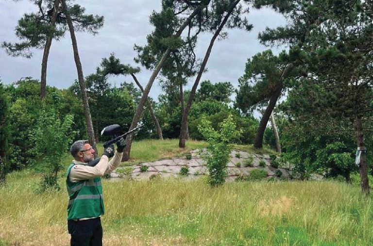 La confusión sexual al servicio del manejo de plagas en los espacios verdes urbanos: el caso de la procesionaria del pino manejado con Pine T Pro Ball®