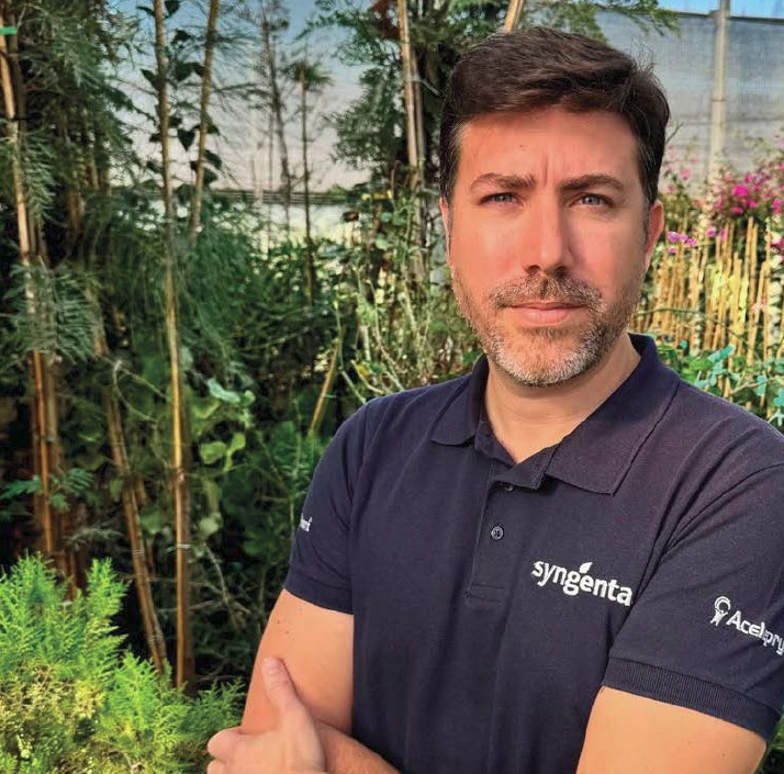 La eficacia de Revive ll®(Benzoato de Emamectina 9,5% [AL]) en el control de Diocalandra frumenti